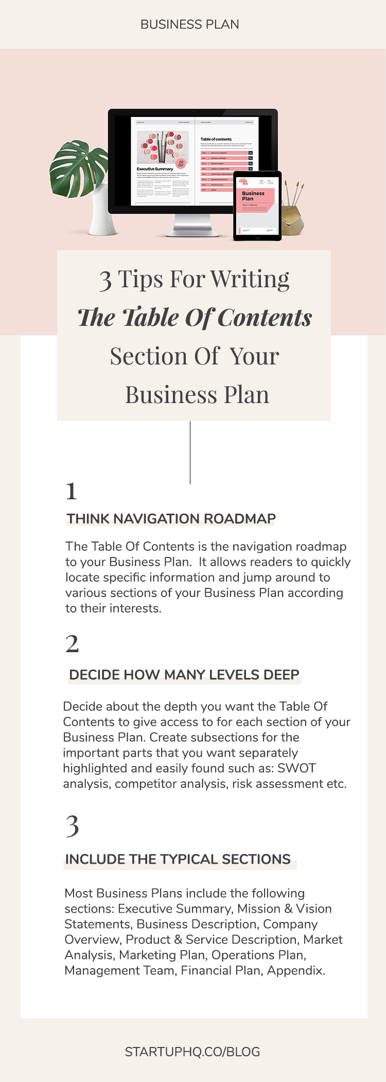 3 contents of a business plan